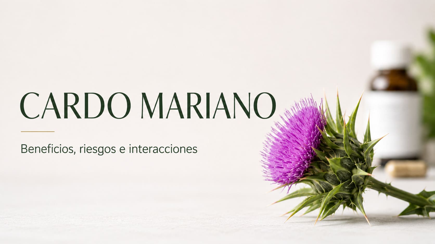 cardo mariano propiedades riesgos e interacciones con medicamentos