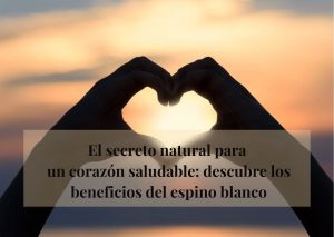 espino blanco para el corazón