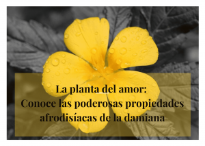 afrodisiaco natural