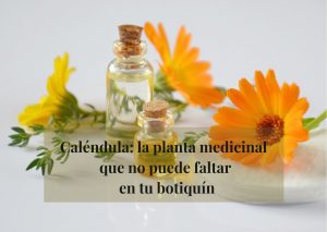 caléndula propiedades y beneficios