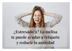melisa propiedades beneficios para que sirve