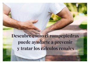 rompepiedras propiedades contraindicaciones