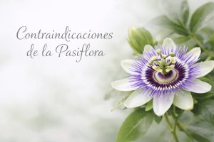 pasiflora contraindicaciones